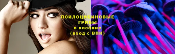 альфа пвп Армянск