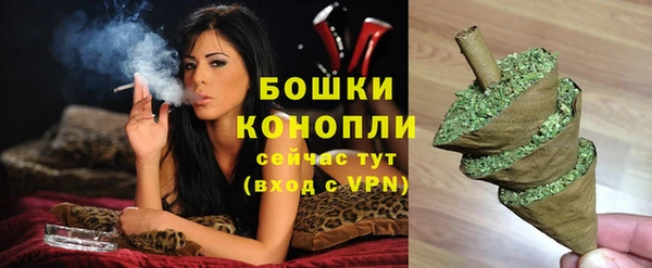 трава Аркадак