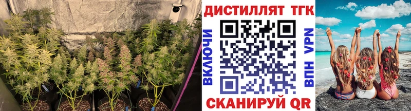 Дистиллят ТГК концентрат  сколько стоит  кракен маркетплейс  Сафоново 